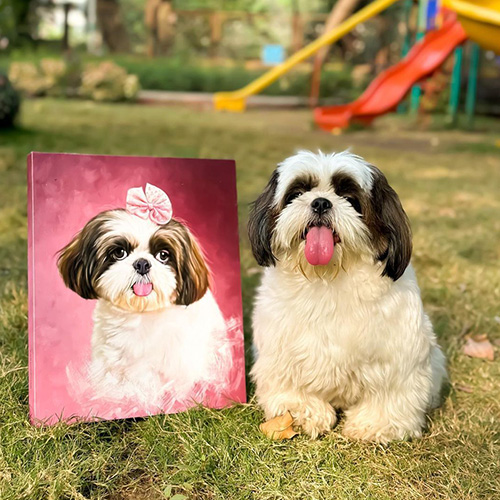 Shihtzu Dog Portrait In Pink Background Colour Wearing Pink Hair Bow