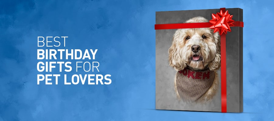 Best Birthday Gifts for Pet Lovers