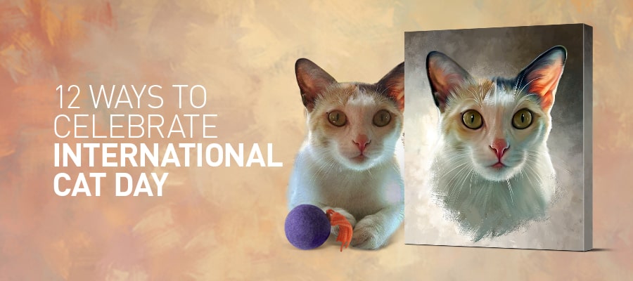 12 ways to make International Cat Day awesome! (#5 is a must know)