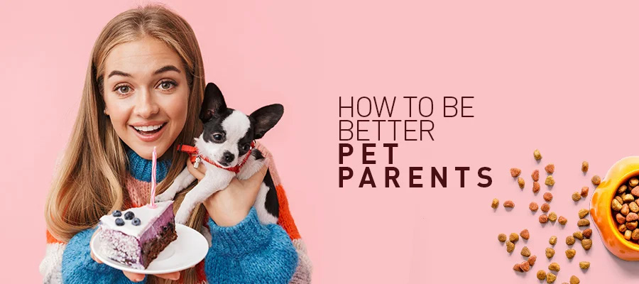 How to be a better pet parent