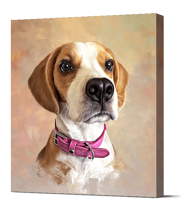 Beagle Dog Portrait In Multicolor Background Color
