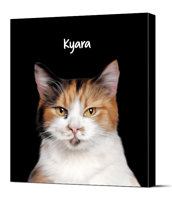 Kyara Cat Digital Portrait In Black Background Color