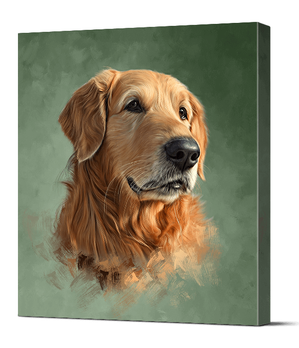 Golden Retriever Custom Pet Portraits By Pawstro India