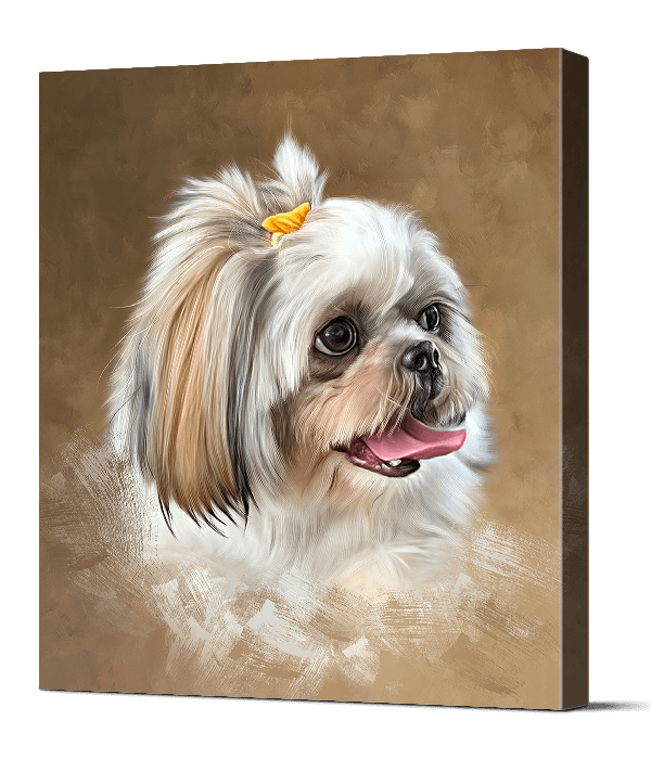 Cute Shihtzu Pet Portrait In Brown Background Color