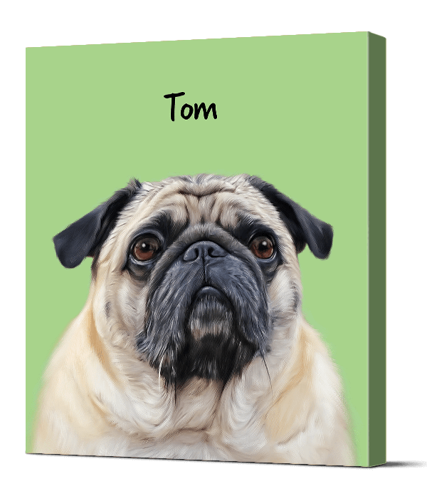 Cute Dog Pug Pet Portrait In Green Background And Name