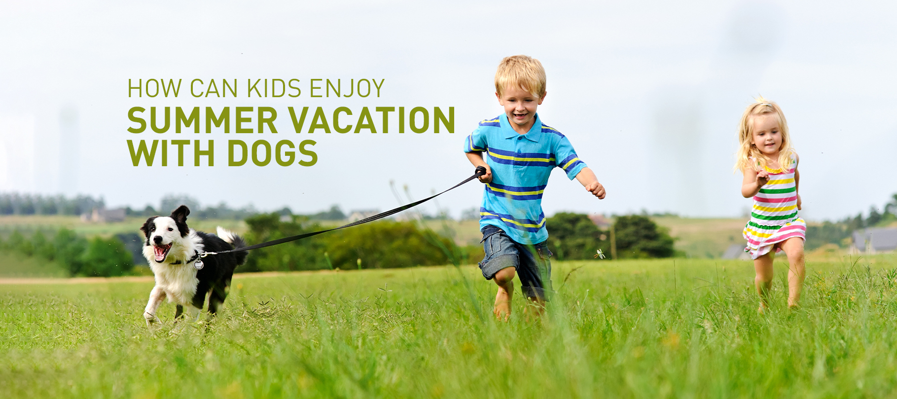 How Can Kids Enjoy Summer Vacation with Dogs